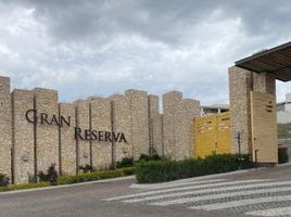  Terreno (Parcela) en venta en Atlixco, Puebla, Atlixco