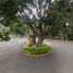  Land for sale in Jiutepec, Morelos, Jiutepec
