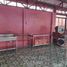 5 Schlafzimmer Haus zu verkaufen in Mandaluyong City, Metro Manila, Mandaluyong City, Eastern District, Metro Manila