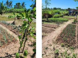  Grundstück zu verkaufen in Ubay, Central Visayas, Ubay