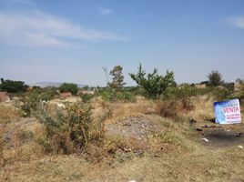  Terreno (Parcela) en venta en Irapuato, Guanajuato, Irapuato