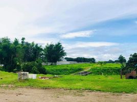  Grundstück zu verkaufen in Pampanga, Central Luzon, Porac