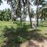  Land for sale in Carmen, Cebu, Carmen