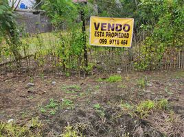  Land for sale in Santo Domingo De Los Tsachilas, Santo Domingo De Los Colorados, Santo Domingo, Santo Domingo De Los Tsachilas