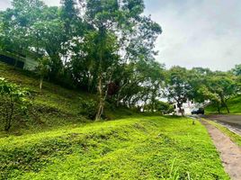  Land for sale in Cavite, Calabarzon, Silang, Cavite