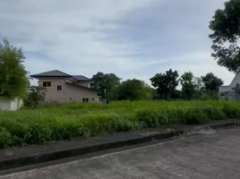  Land for sale in Crimson Beach side, Lapu-Lapu City, Lapu-Lapu City