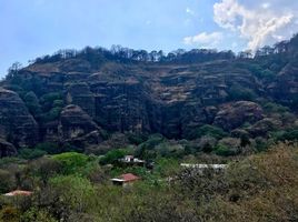 Terrain à vendre à Tepoztlan, Morelos, Tepoztlan