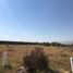  Land for rent in Zaragoza, San Luis Potosi, Zaragoza, San Luis Potosi