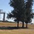  Land for rent in Zaragoza, San Luis Potosi, Zaragoza, San Luis Potosi