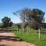  Terreno (Parcela) en venta en Litueche, Cardenal Caro, Litueche