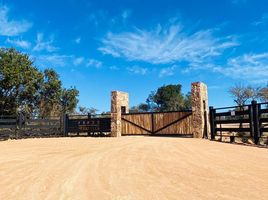  Terreno (Parcela) en venta en Litueche, Cardenal Caro, Litueche