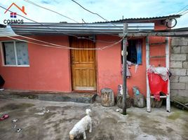  House for sale in Imbabura, Otavalo, Otavalo, Imbabura