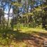  Land for sale in Mineral Del Chico, Hidalgo, Mineral Del Chico