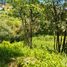  Land for sale in Mineral Del Chico, Hidalgo, Mineral Del Chico