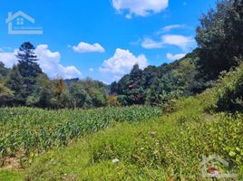  Land for sale in Mineral Del Chico, Hidalgo, Mineral Del Chico
