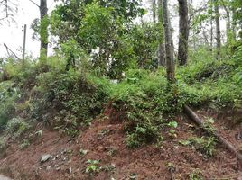  Land for sale in Cordillera, Baguio City, Benguet, Cordillera