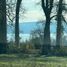  Land for sale in Chile, Villarrica, Cautin, Araucania, Chile