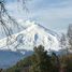  Land for sale in Chile, Villarrica, Cautin, Araucania, Chile