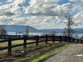  Land for sale in Chile, Villarrica, Cautin, Araucania, Chile