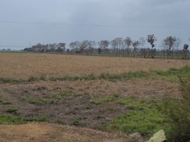  Terreno (Parcela) en venta en Samborondón, Guayas, Samborondon, Samborondón