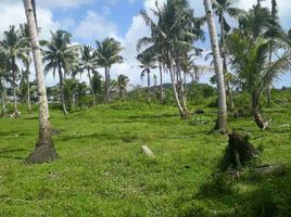  Land for sale in Surigao del Norte, Caraga, Pilar, Surigao del Norte