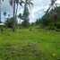  Land for sale in Surigao del Norte, Caraga, Pilar, Surigao del Norte