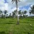  Land for sale in Surigao del Norte, Caraga, Pilar, Surigao del Norte