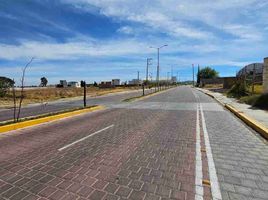  Terreno (Parcela) en venta en San Gregorio Atzompa, Puebla, San Gregorio Atzompa