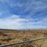  Terreno (Parcela) en venta en San Gregorio Atzompa, Puebla, San Gregorio Atzompa