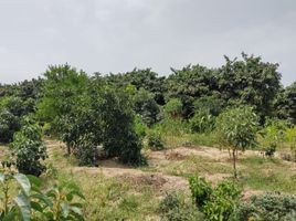  Terreno (Parcela) en venta en Huaral, Lima, Huaral, Huaral