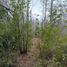  Land for sale in Chile, Villarrica, Cautin, Araucania, Chile