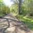 Land for sale in Chile, Villarrica, Cautin, Araucania, Chile
