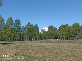  Land for sale in Chile, Villarrica, Cautin, Araucania, Chile