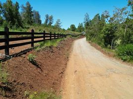  Land for sale in Chile, Mariquina, Valdivia, Los Rios, Chile