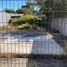 Terreno (Parcela) en venta en Valdivia, Los Ríos, Lanco, Valdivia
