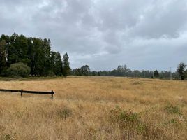  Terreno (Parcela) en venta en Valdivia, Los Ríos, Lanco, Valdivia