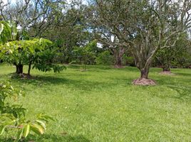  Land for sale in Pereira, Risaralda, Pereira