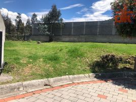  Land for sale in Tumbaco, Quito, Tumbaco