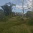  Terreno (Parcela) en venta en Talakag, Northern Mindanao, Talakag