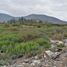 Land for sale in Quillota Valparaiso, Quillota, Quillota