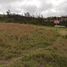  Land for sale in Imbabura, San Antonio, Ibarra, Imbabura