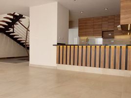 Maison 3 chambre à vendre à San Luis Potosi, San Luis Potosi, San Luis Potosi, San Luis Potosi