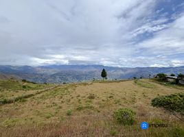  Land for sale in Loja, Malacatos Valladolid, Loja, Loja