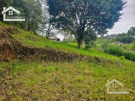 Land for sale in Mineral Del Chico, Hidalgo, Mineral Del Chico