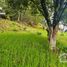  Land for sale in Mineral Del Chico, Hidalgo, Mineral Del Chico