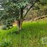  Land for sale in Mineral Del Chico, Hidalgo, Mineral Del Chico