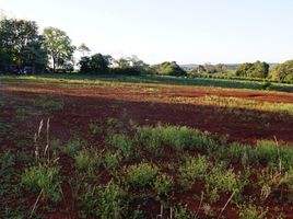  Land for sale in Guarani, Misiones, Guarani