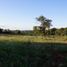  Land for sale in Guarani, Misiones, Guarani