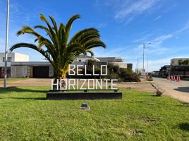  Land for sale in Chile, Tome, Concepción, Biobío, Chile