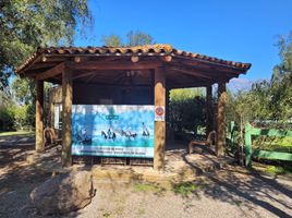  Terreno (Parcela) en venta en Maipo, Santiago, Paine, Maipo